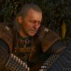 The Witcher mark hamill Vesemir