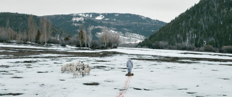 I segreti di Wind River recensione cinema