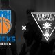 Turtle Beach annuncia la partnership con Knicks Gaming