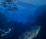 Beyond Blue
