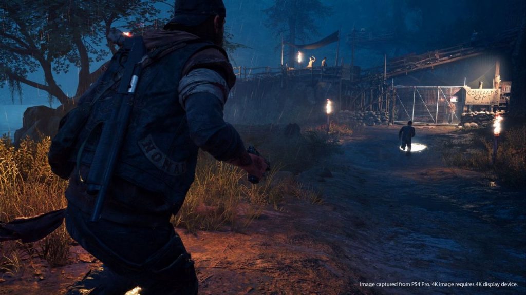 Days Gone Provato