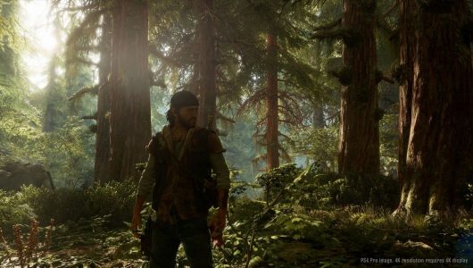 Days Gone – Provato