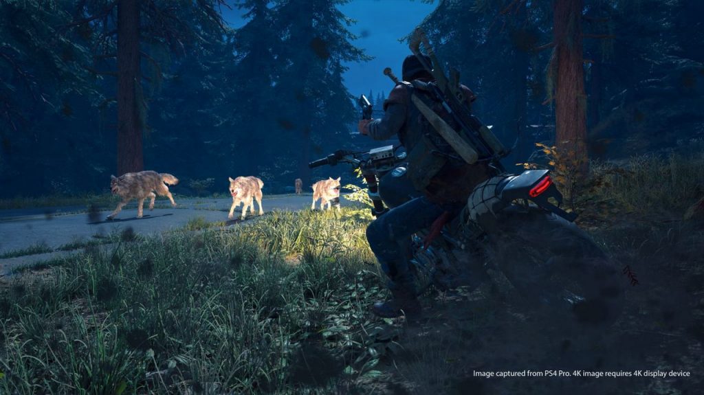 Days Gone Provato