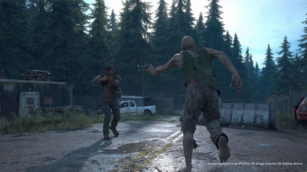 Days Gone Provato