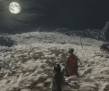 Sekiro: Shadows Die Twice