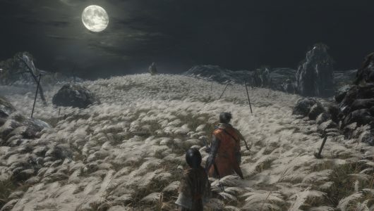 Sekiro Shadows Die Twice pc