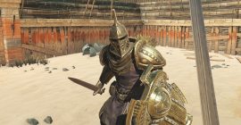 The Elder Scrolls Blades switch