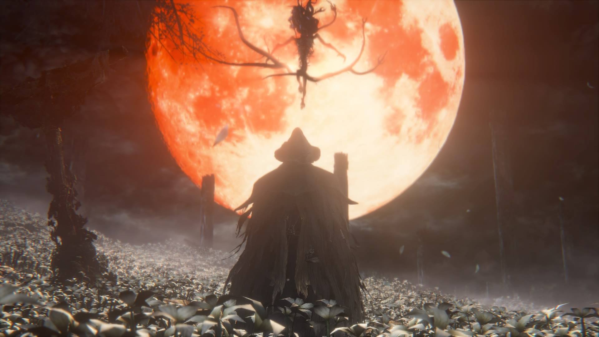 Bloodborne è il titolo più giocato su PC con PlayStation Now