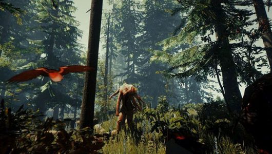 The Forest per PlayStation 4 ha ora una data d'uscita