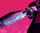 Hitman 2