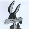 Willy il Coyote diventa protagonista di un nuovo film d'animazione