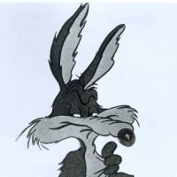 Willy il Coyote diventa protagonista di un nuovo film d'animazione