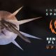 Endless Space 2: pubblicato l'aggiornamento gratuito Renegade Fleets