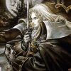castlevania anniversary collection