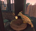 Falcon Age