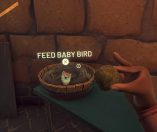 Falcon Age