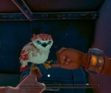 Falcon Age