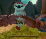 Falcon Age