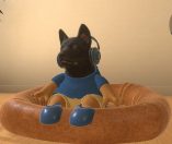 Little Friends: Dogs & Cats