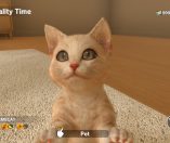 Little Friends: Dogs & Cats