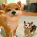 Little Friends trailer