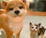 Little Friends: Dogs & Cats