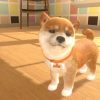 Little Friends trailer