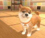Little Friends: Dogs & Cats