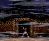 Castlevania Anniversary Collection