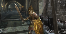 The Elder Scrolls Blades switch offline