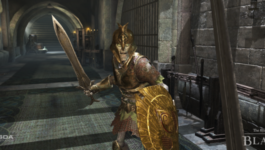 The Elder Scrolls Blades switch offline