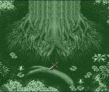 Collection of Mana