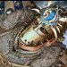 for honor e3 2019