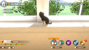 little friends dogs cats recensione
