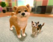 Little Friends Dogs Cats Recensione Switch 13