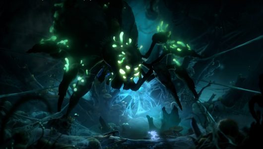 ori and the will of the wisps switch edizione fisica