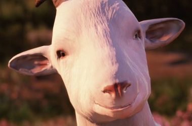 Goat of Duty