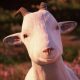 Goat of Duty