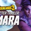borderlands 3 amara