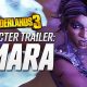 borderlands 3 amara