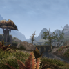 Pazzie videogiochi vvanderfell editoriale