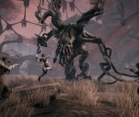 Remnant from the ashes 2