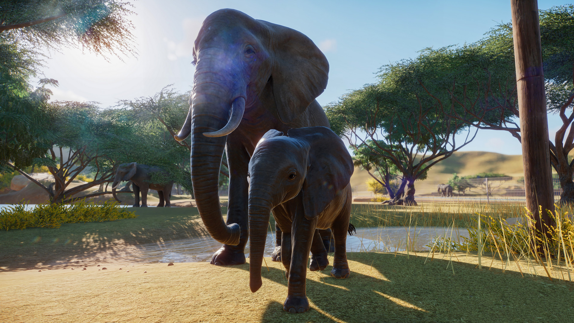 Planet Zoo: ecco il trailer della beta in arrivo su PC | News