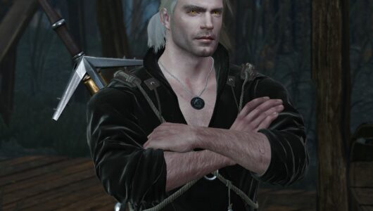 the witcher 3 mod