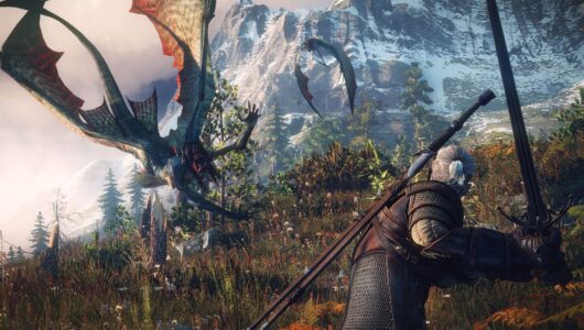 CD Projekt The Witcher 3