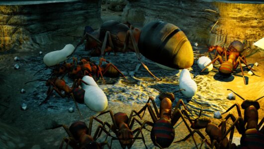 Empires of the Undergrowth provato Empires of the Undergrowth anteprima RTS formiche