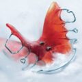 The Suicide of Rachel Foster Recensione apertura