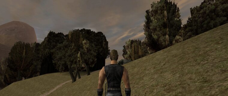 Via l'erba dai videogiochi!