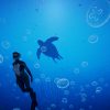 Beyond Blue uscita