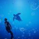 Beyond Blue uscita